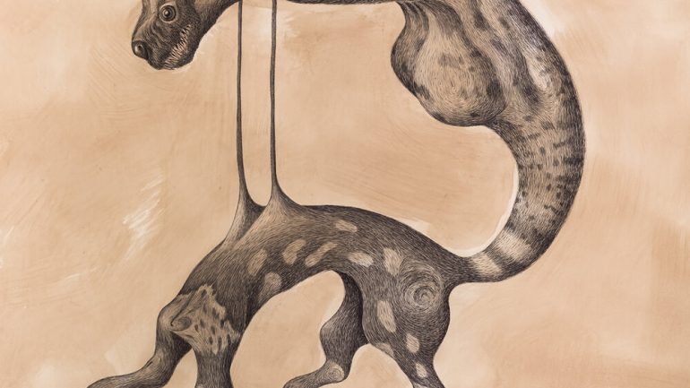 10. LA PERDITA DI EQUILIBRIO - ANIMALE DISARTICOLATO- Penne a inchiostro su carta - 150x100 cm - 2019
